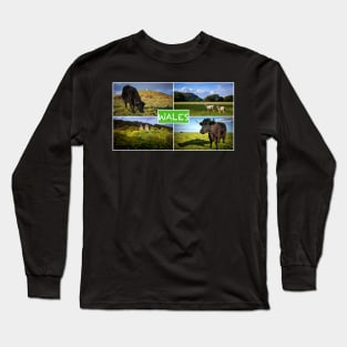 Wales Collage#1 Long Sleeve T-Shirt